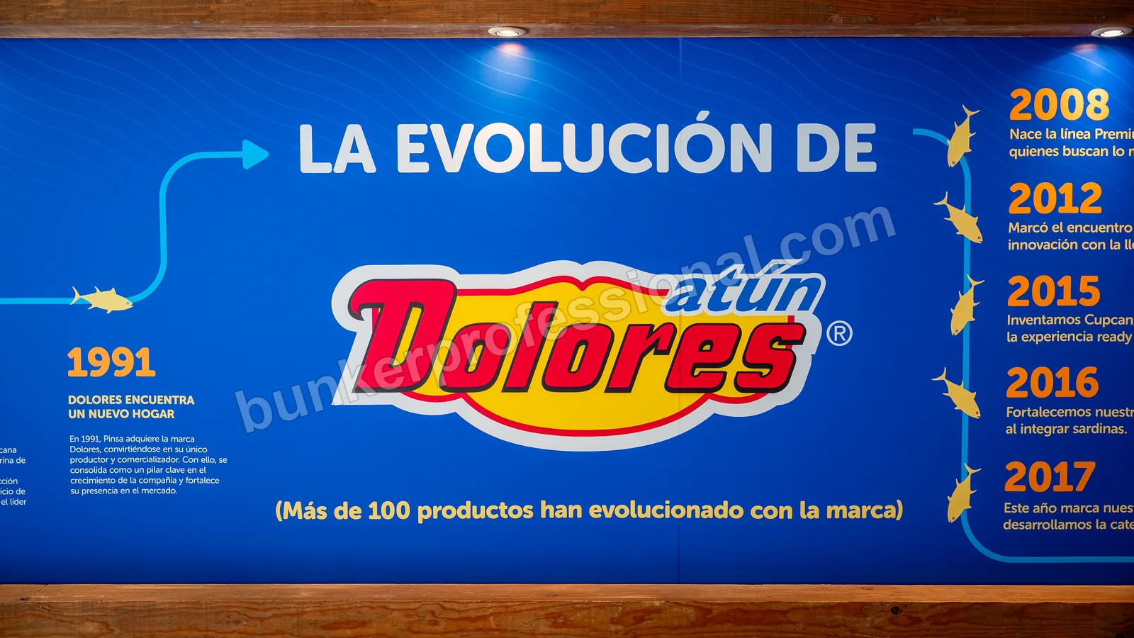 Montaje técnico para Casa Dolores — 4