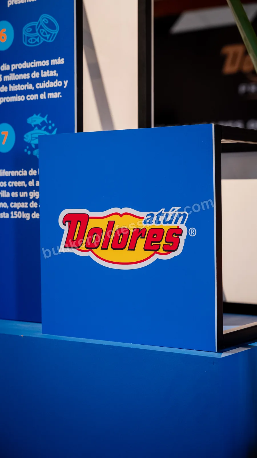 Montaje técnico para Casa Dolores — 14