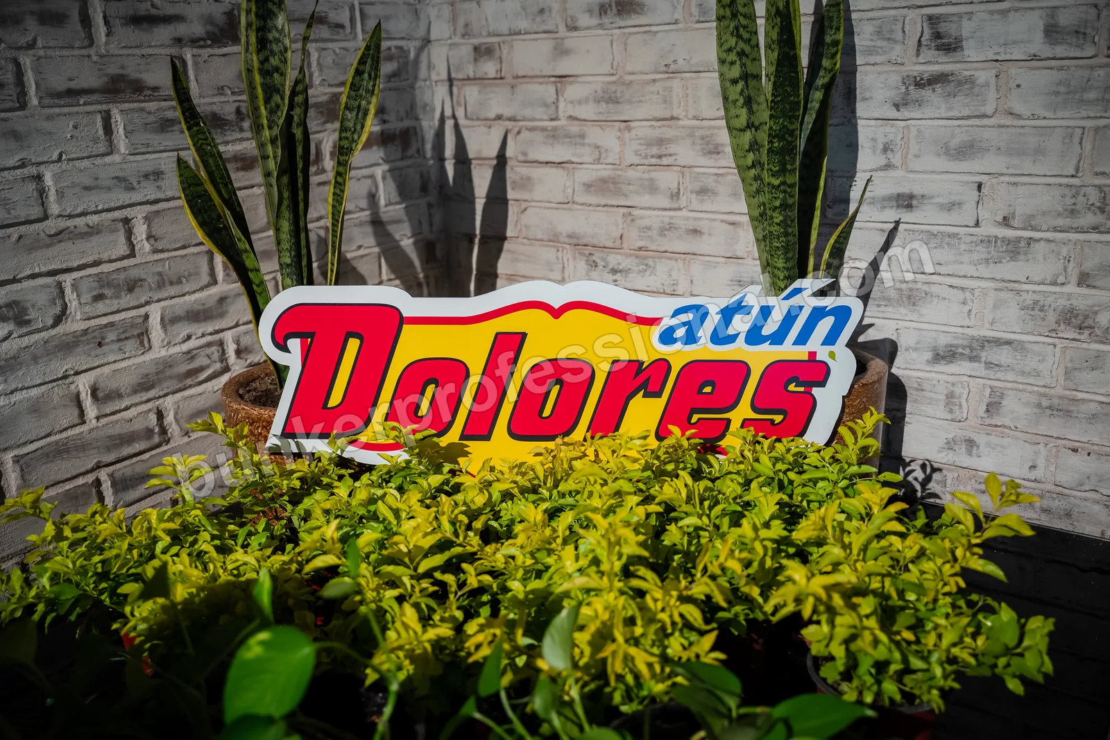 Montaje técnico para Casa Dolores — 21