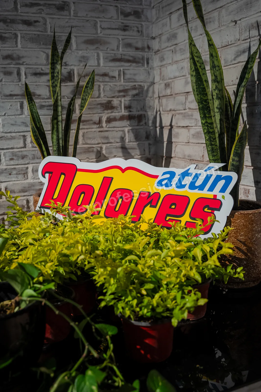 Montaje técnico para Casa Dolores — 22