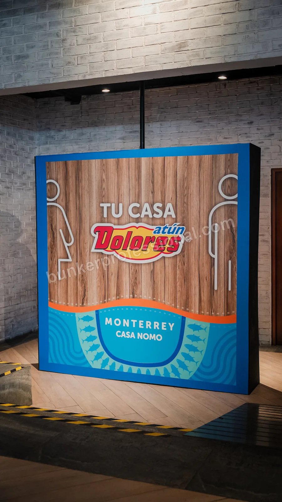 Montaje técnico para Casa Dolores — 23