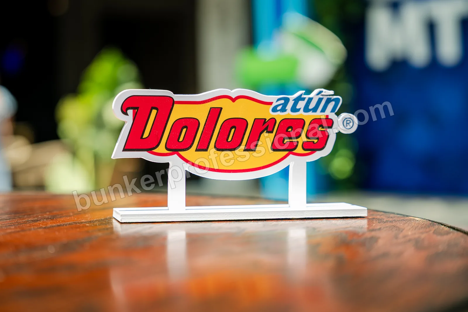 Montaje técnico para Casa Dolores — 35