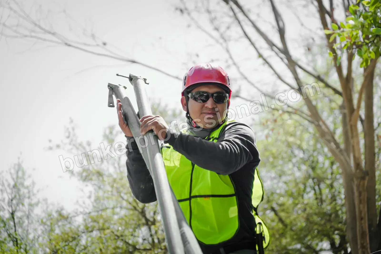 Montaje técnico para PAL NORTE — 2