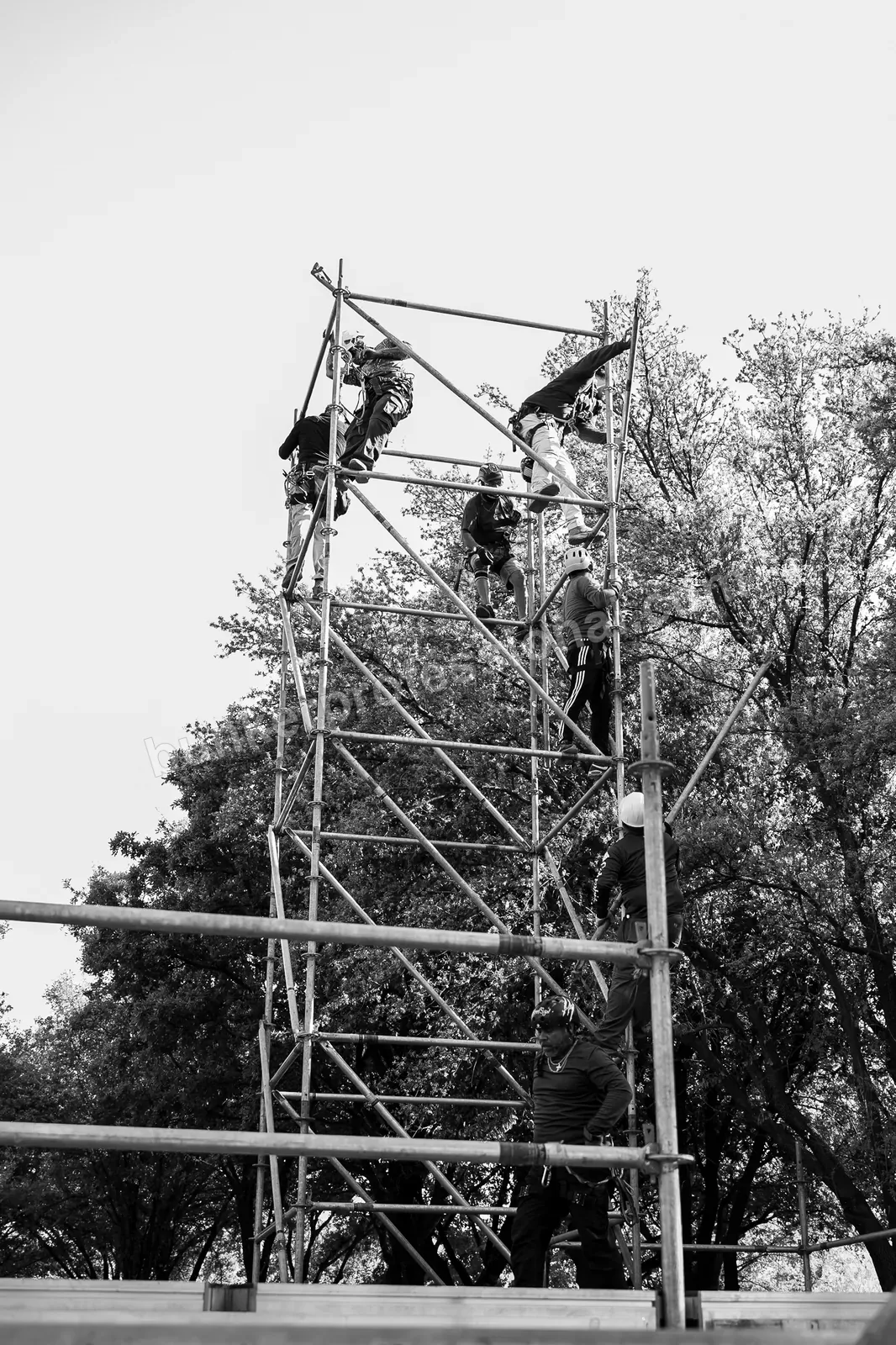 Montaje técnico para PAL NORTE — 36