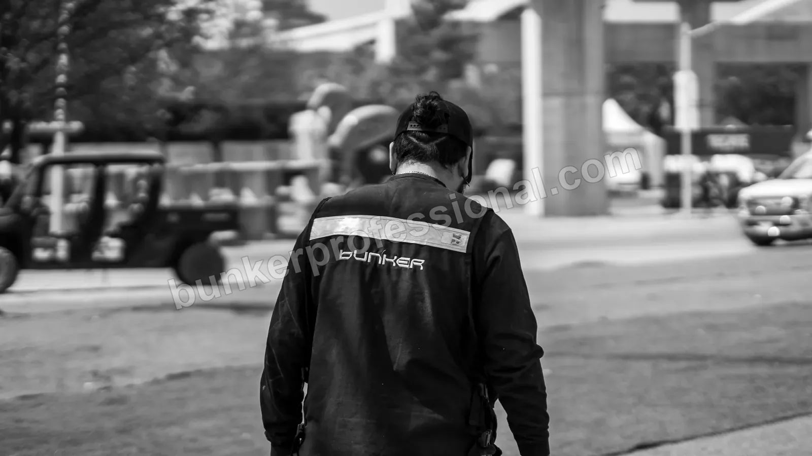 Montaje técnico para PAL NORTE — 234